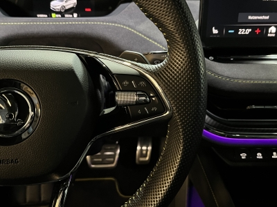 Skoda Enyaq RS Coupé Lounge*Memory*Navi*R.cam*AHK*Pano