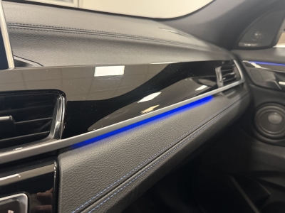 BMW X2 sDrive 20 i M Sport X*HUD*LED*NAVI*PDC*ACC*