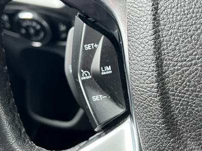 Ford Custom L2 Custom Trend KLIMA Tempomat AHK 3-Sitz