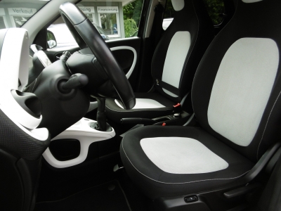 Smart Forfour Passion Allwetter Sitzheizung B/T PDC