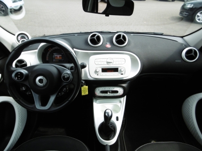 Smart Forfour Passion Allwetter Sitzheizung B/T PDC