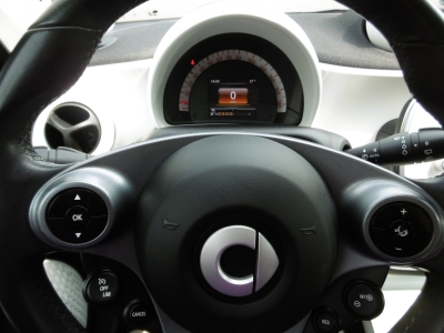 Smart Forfour Passion Allwetter Sitzheizung B/T PDC