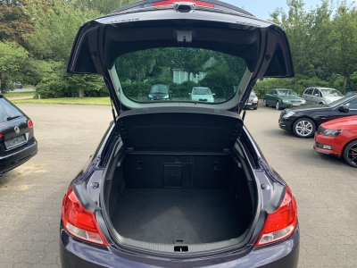 Opel Insignia Edition Parkpilot Winterpak.