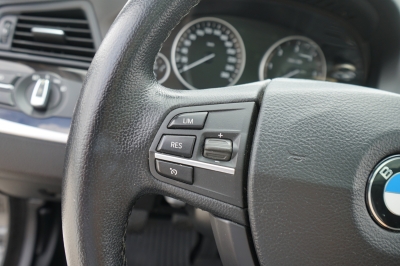 BMW 520d Touring |Panorama| |Bi-Xenon| |PDC vo+hi|