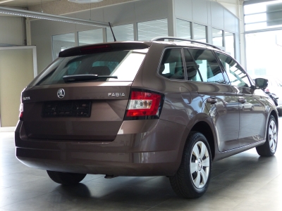 Skoda Fabia Style Klima+Shzg+PDC+BT+TÜV&Inspektion neu