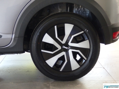 Dacia Sandero Stepway 1.0 LED+AppConne+Cam+Shzg+Klima