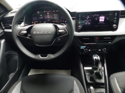 Skoda Kamiq 1.0 TSI DSG LED+Shzg+Tempomat+AppConnect