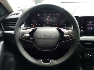 Skoda Kamiq 1.0 TSI DSG LED+Shzg+Tempomat+AppConnect