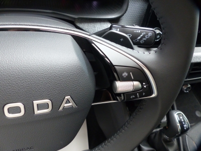 Skoda Kamiq 1.0 TSI DSG LED+Shzg+Tempomat+AppConnect