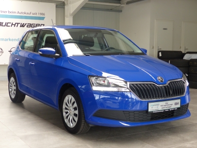 Skoda Fabia Cool Plus Klima+Shzg+DAB+Carplay+nur 49tkm