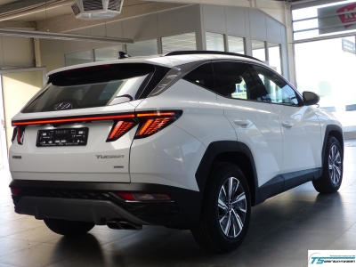 Hyundai TUCSON 1.6 T-GDI 48V 4WD Navi+Shzg+Lhzg+Totw+LED