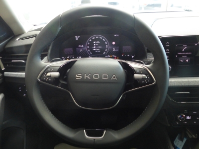 Skoda Kamiq 1.0 TSI DSG LED+Shzg+Tempomat+AppConnect