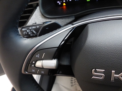 Skoda Kamiq 1.0 TSI DSG LED+Shzg+Tempomat+AppConnect