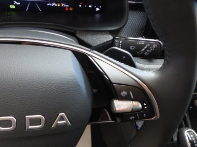 Skoda Kamiq 1.0 TSI DSG LED+Shzg+Tempomat+AppConnect
