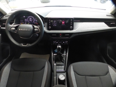 Skoda Kamiq 1.0 TSI DSG LED+Shzg+Tempomat+AppConnect