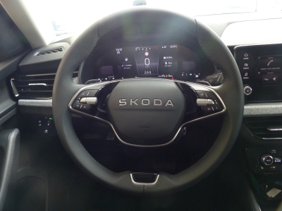 Skoda Kamiq 1.0 TSI DSG LED+Shzg+Tempomat+AppConnect