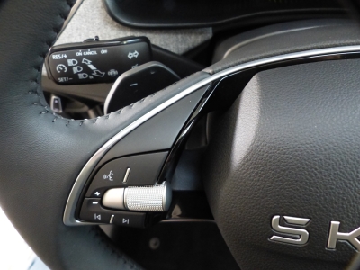 Skoda Kamiq 1.0 TSI DSG LED+Shzg+Tempomat+AppConnect
