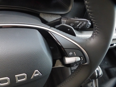 Skoda Kamiq 1.0 TSI DSG LED+Shzg+Tempomat+AppConnect