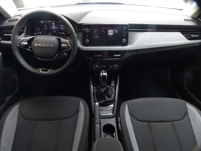 Skoda Kamiq 1.0 TSI DSG LED+Shzg+Tempomat+AppConnect