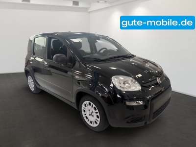 Fiat Panda Pandina Hybrid MY25 70PS 