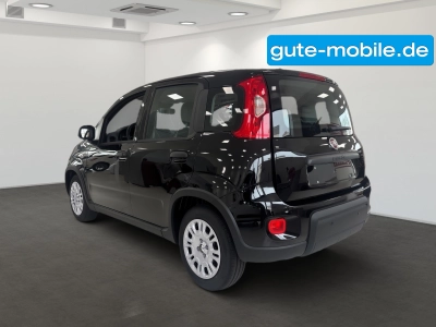 Fiat Panda Pandina Hybrid MY25 70PS 