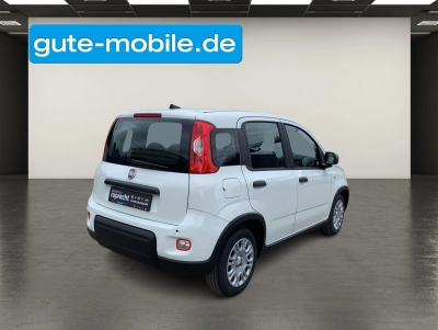 Fiat Panda Pandina Hybrid 1.0 GSECity-Paket|PDC|KLIMA