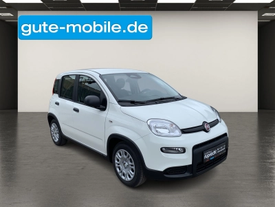 Fiat Panda Pandina Hybrid 1.0 GSECity-Paket|PDC|KLIMA