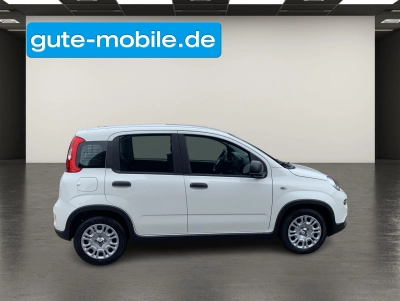 Fiat Panda Pandina Hybrid 1.0 GSECity-Paket|PDC|KLIMA