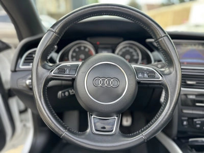 Audi A5 Cabrio 1.8 TFSI multitronic / S-Line / RFK
