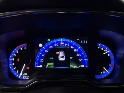 Toyota Corolla Hybrid Team D